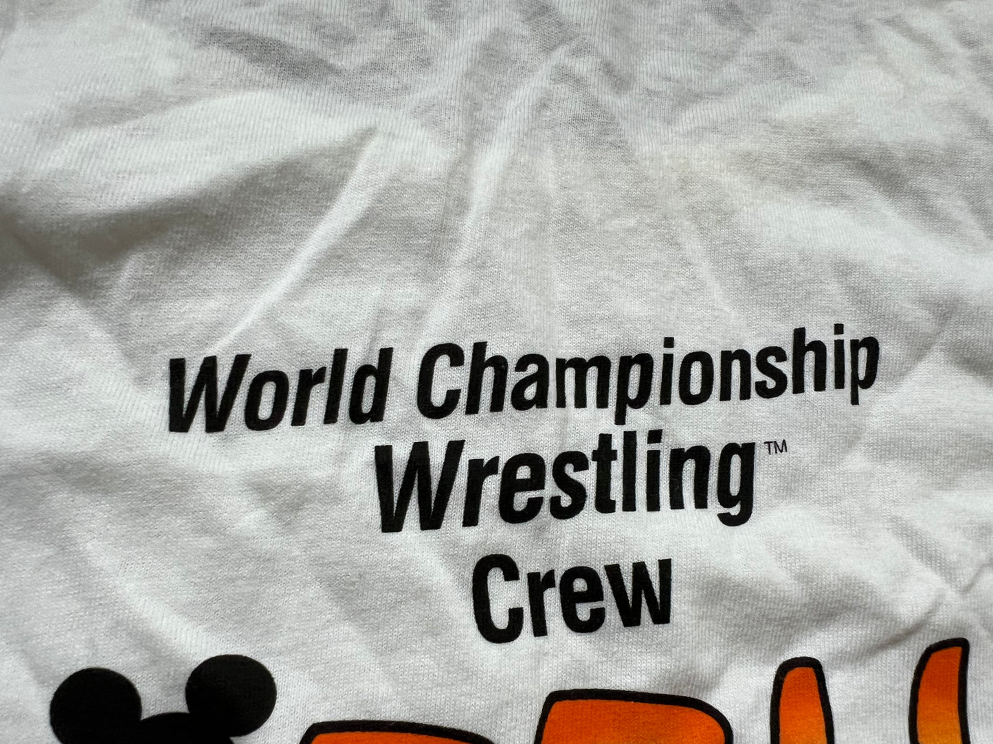 1995 WCW / Disney Studios Sizzlin Summer Tour two sided tank top from the personal collection of Nasty Boy Jerry Saggs