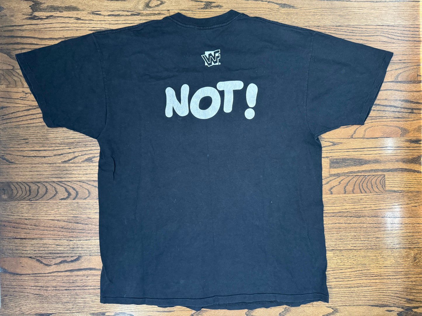 1995 WWF “Double J” Jeff Jarrett “Ain’t I Great” / “Not!” Two sided shirt