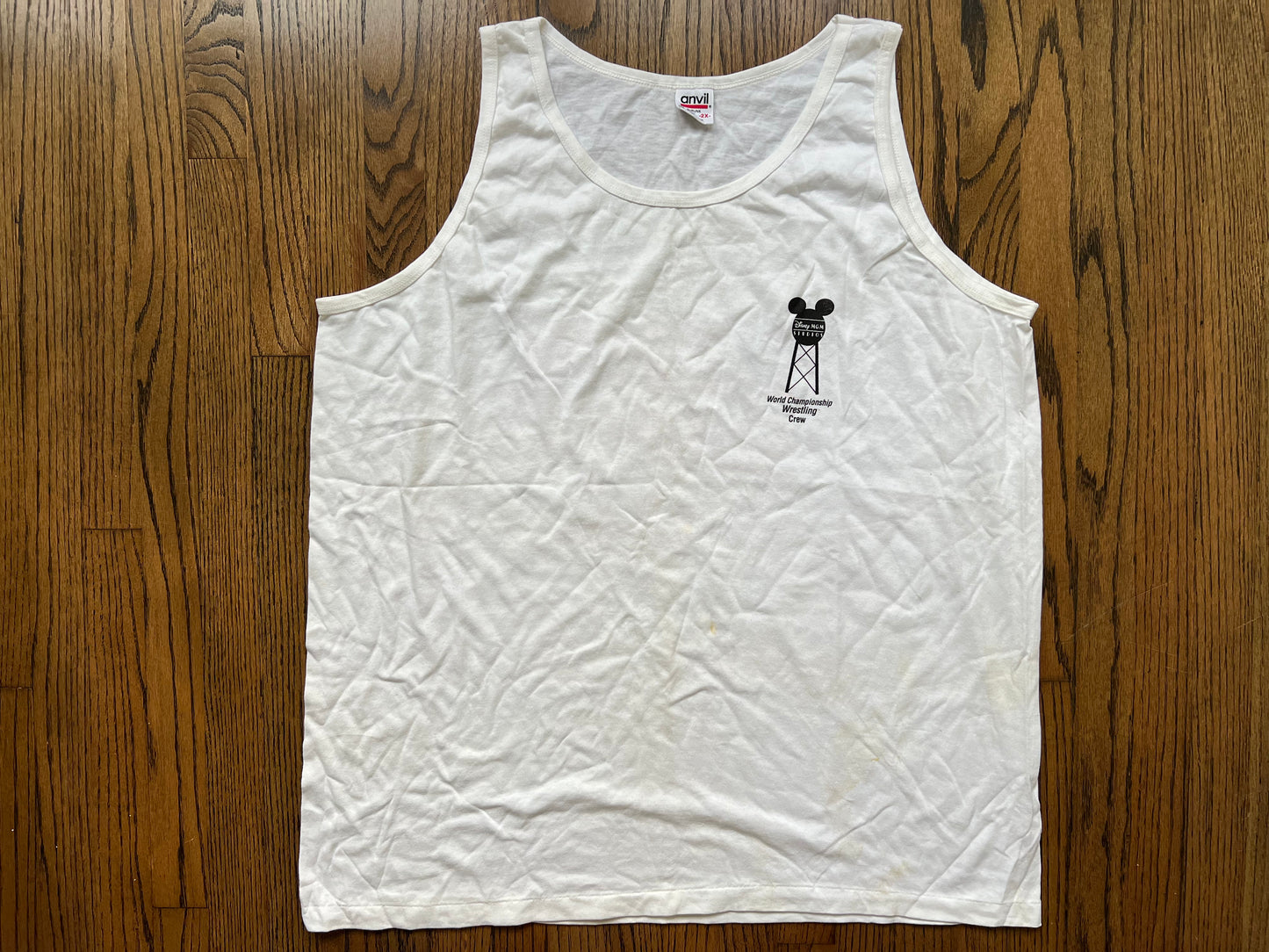 1995 WCW / Disney Studios Sizzlin Summer Tour two sided tank top from the personal collection of Nasty Boy Jerry Saggs