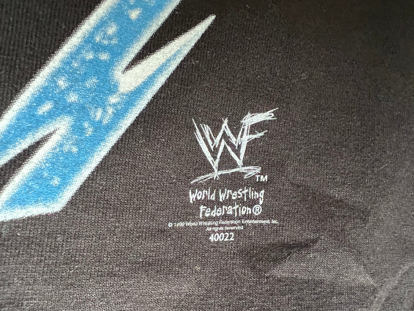 1999 WWF Tori “More than just a pretty face shirt