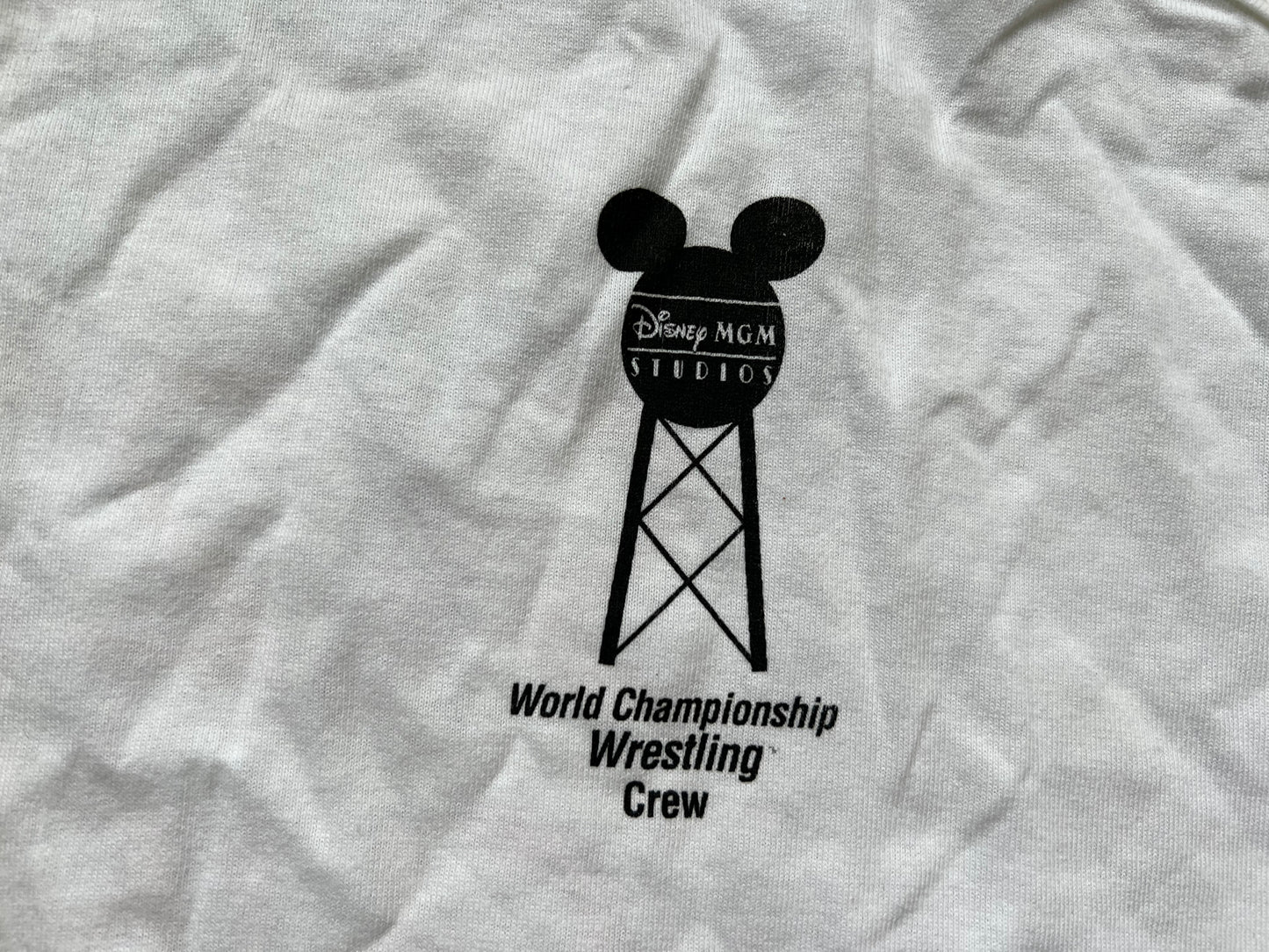 1995 WCW / Disney Studios Sizzlin Summer Tour two sided tank top from the personal collection of Nasty Boy Jerry Saggs