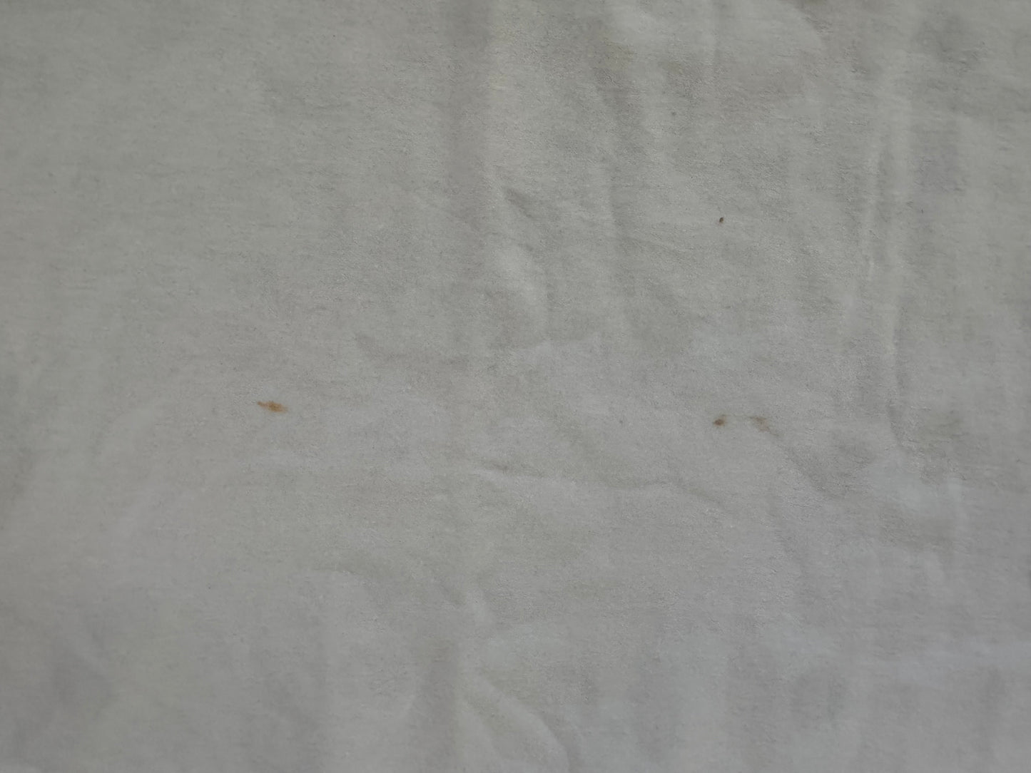 1990 WCW Fabulous Freebirds catalog shirt featuring “Gorgeous” Jimmy Garvin and Michael “PS” Hayes