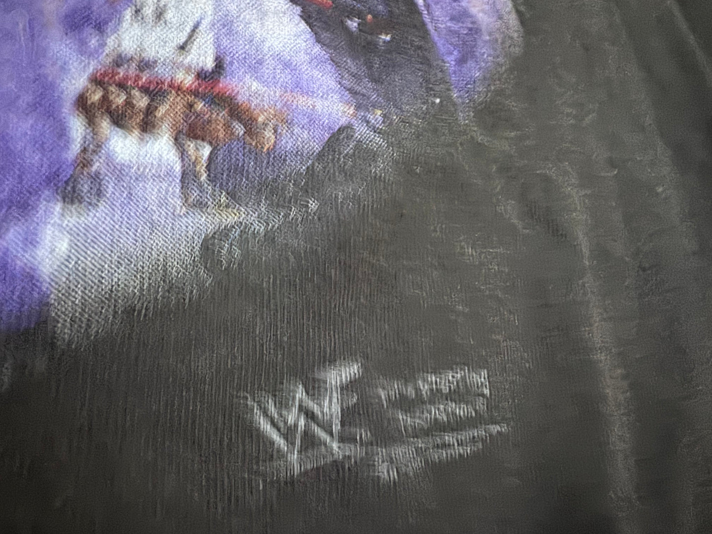 1998 WWF D-Generation X “Bow to the Masters” two sided shirt featuring X-Pac, Chyna and Triple H