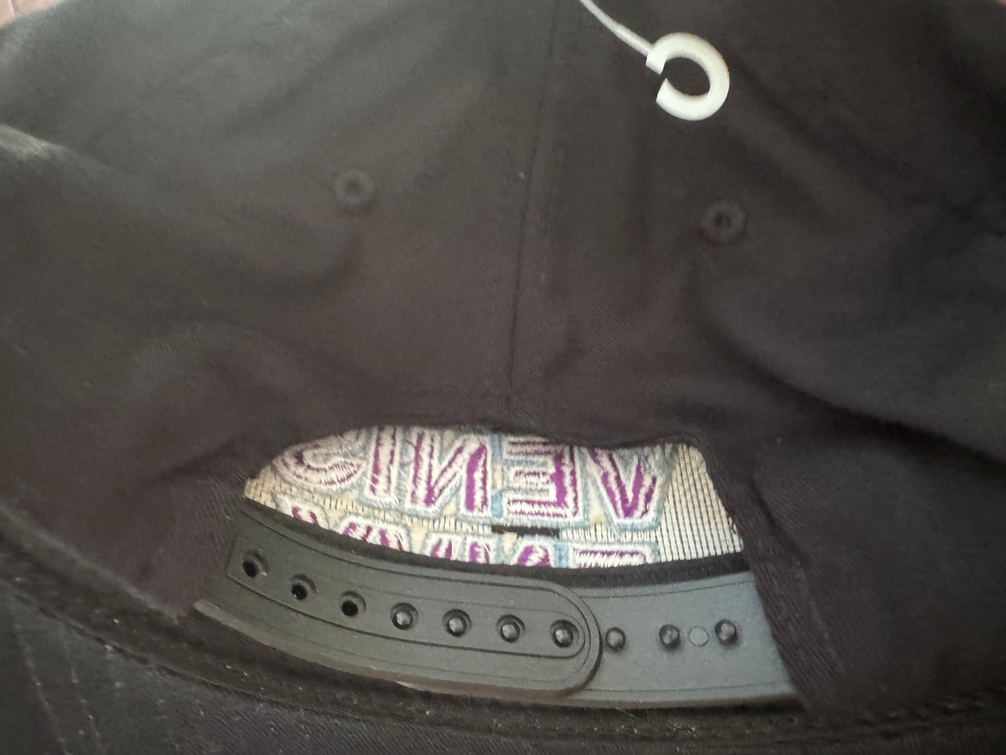 1998 WWF Val Venis “Venis Envy” SnapBack - material has worn off of the top button