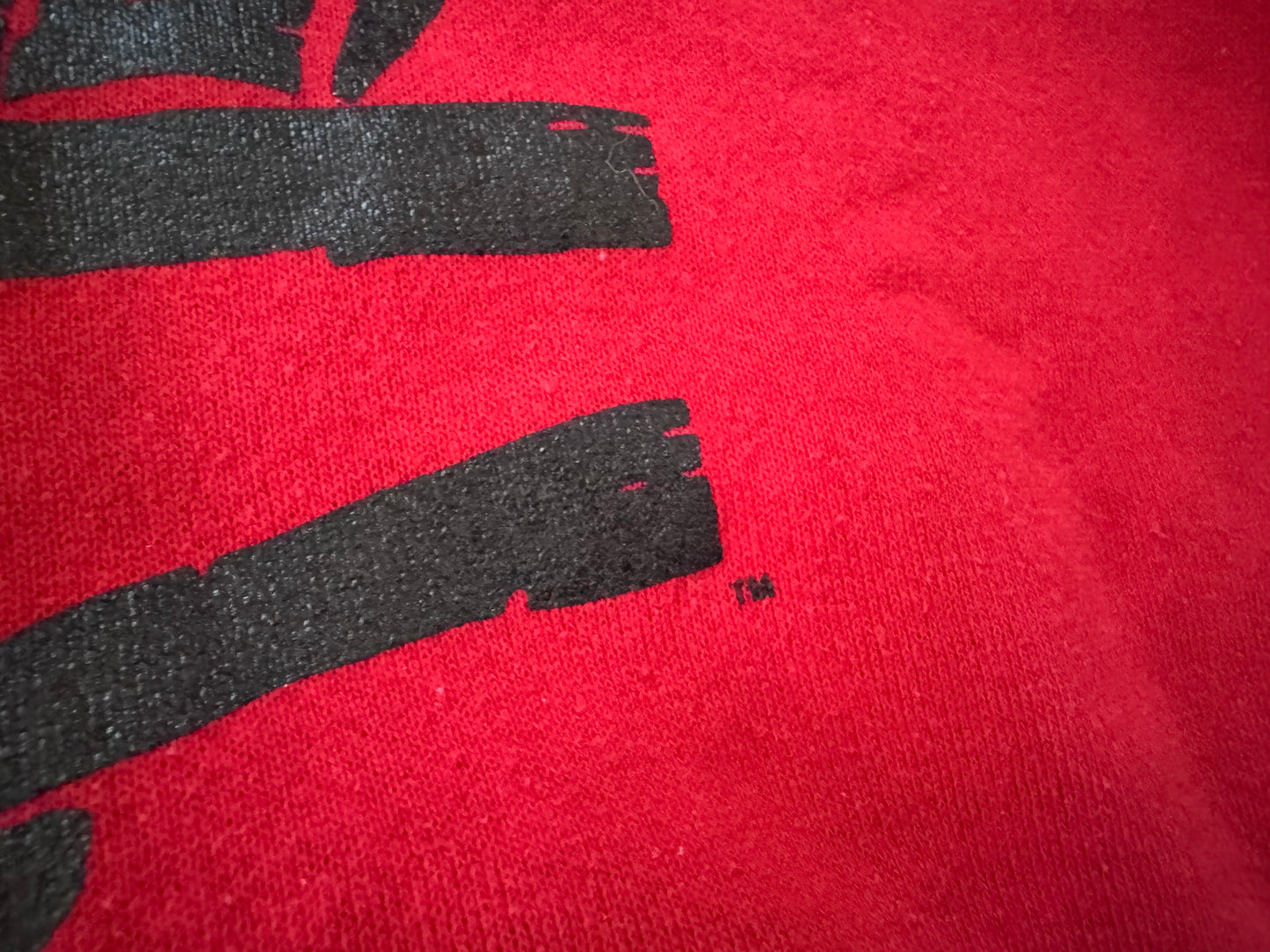 1990 WCW Fabulous Freebirds “Badstreet USA” sweatshirt