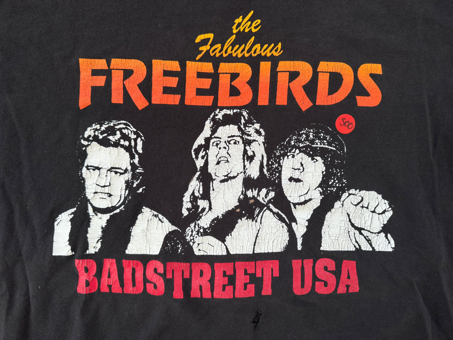 1985 WCCW Fabulous Freebirds shirt featuring Michael "P.S." Hayes, Terry "Bam Bam" Gordy, and Buddy "Jack" Roberts